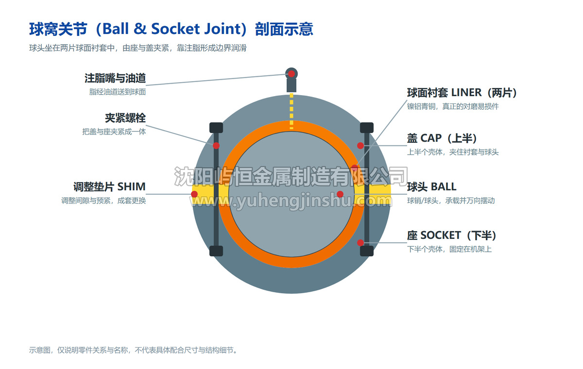 球窝关节剖面示意:球头、球面衬套、盖、座、调整垫片、夹紧螺栓